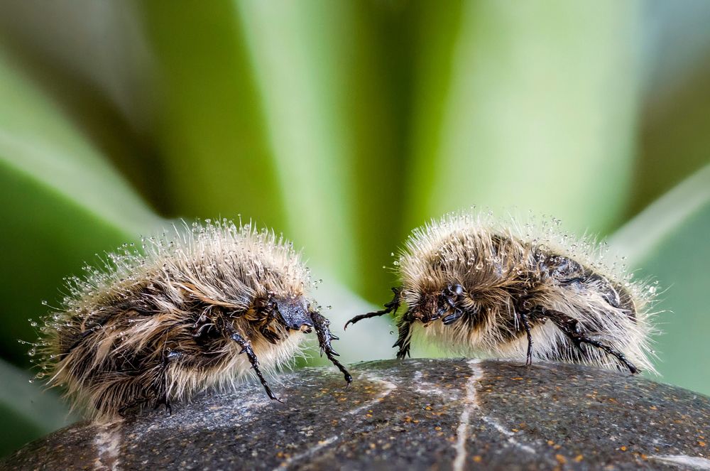 Photograph by Юрий Яковлевич
