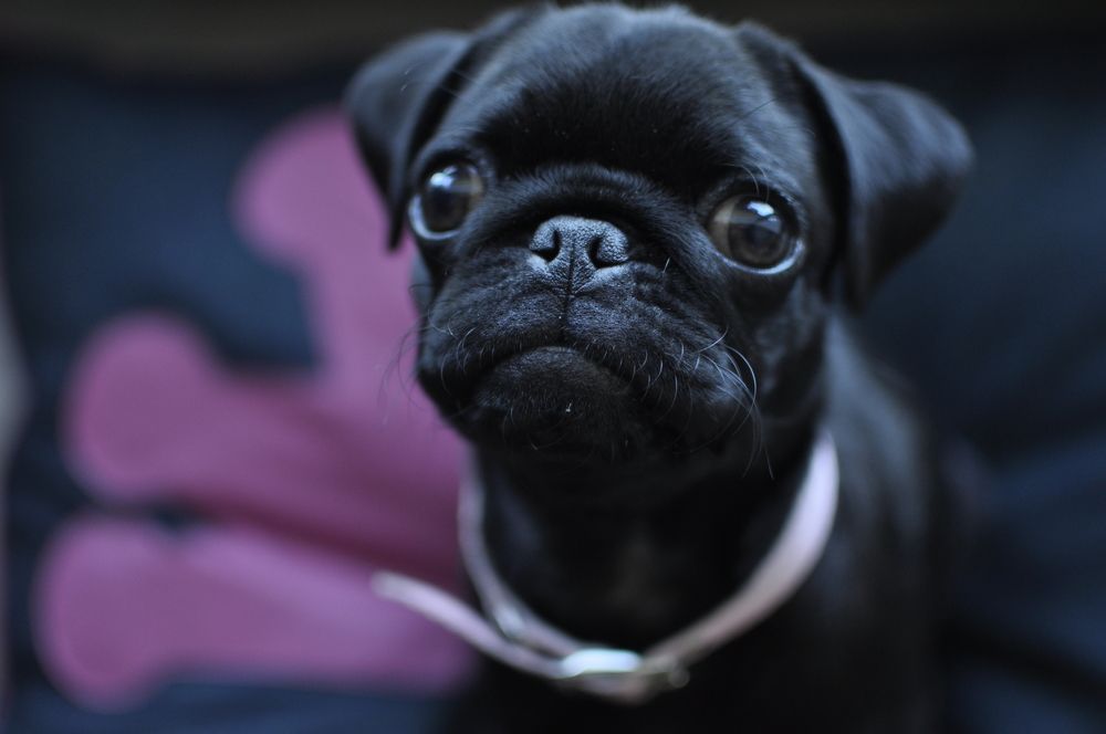 Photograph by antonio Solimeno