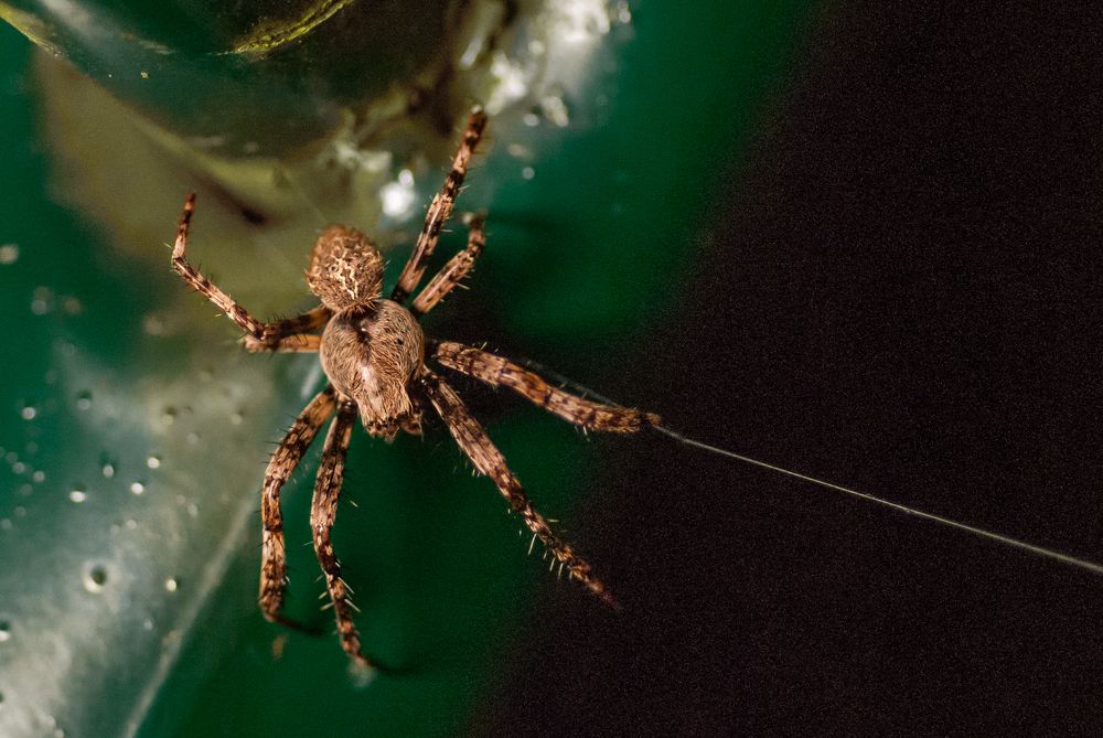 Photograph by Ольга Чуванова