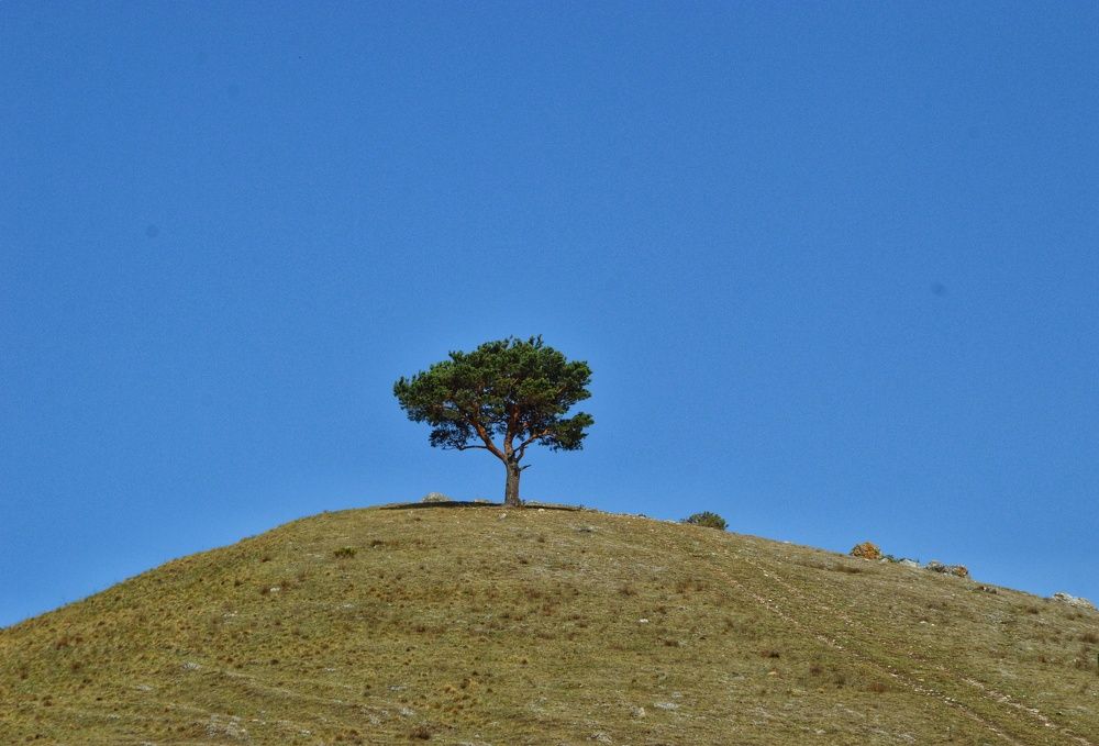 Photograph by Наталья