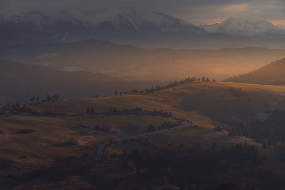 Photograph by Budyta Dariusz