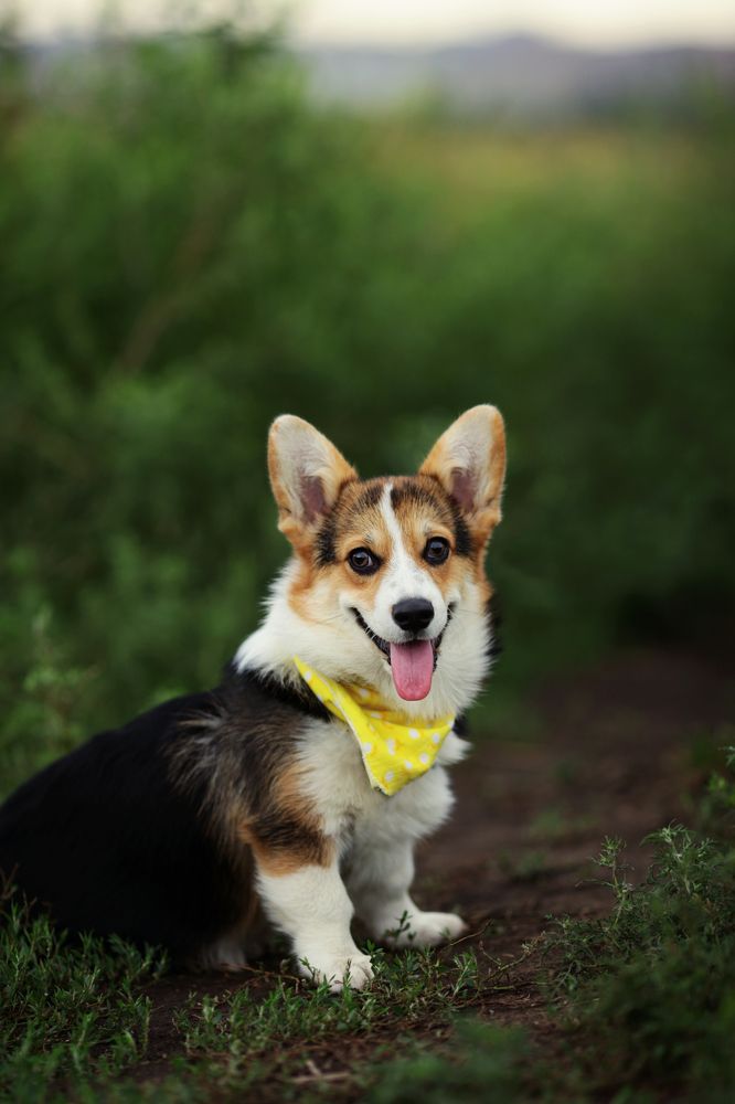 Photograph by Ольга Нахалова