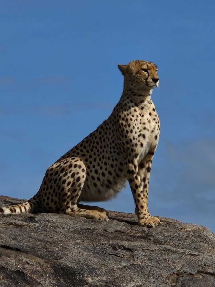 Photograph by Magassa Photography