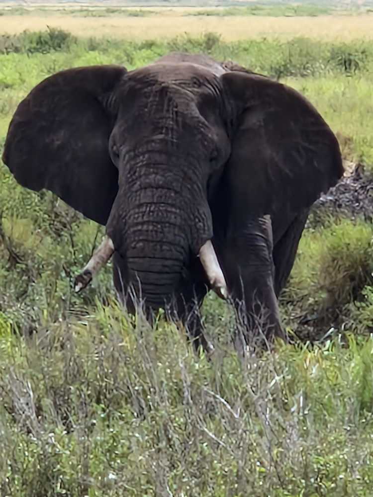 Photograph by Magassa Photography