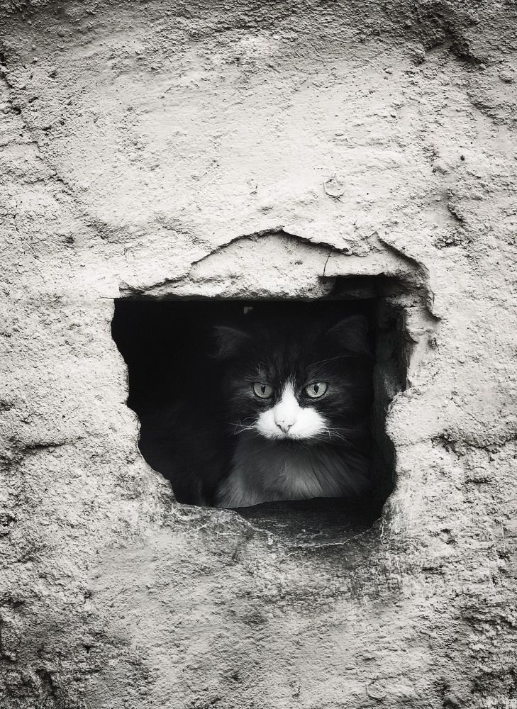 Photograph by Юлия Лушникова