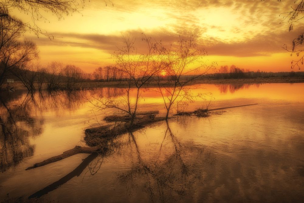 Photograph by Владимир Брагилевский