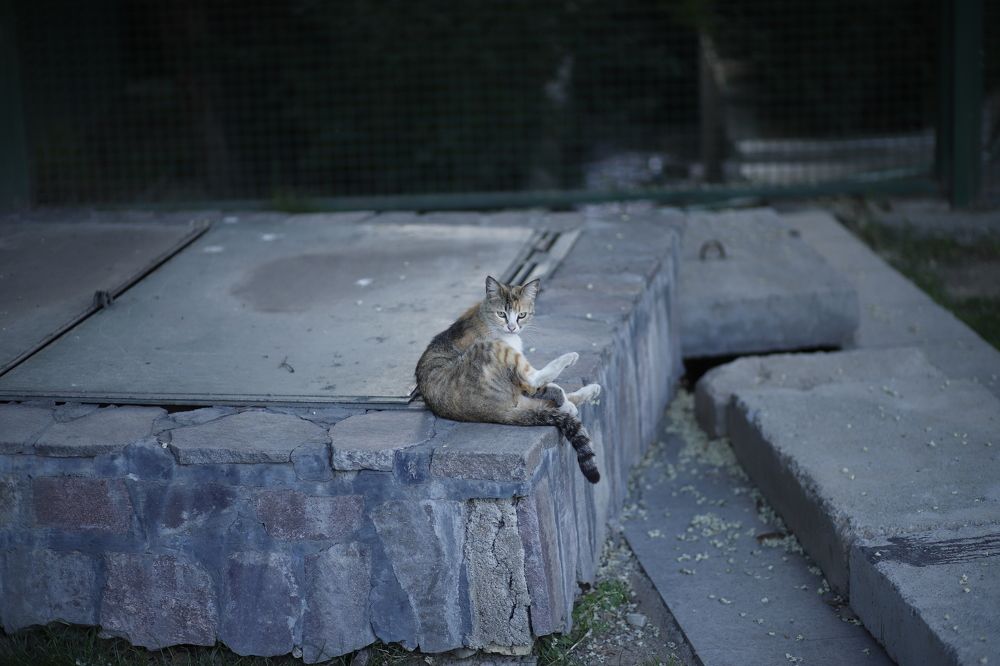 Photograph by Amir hosein Taheri