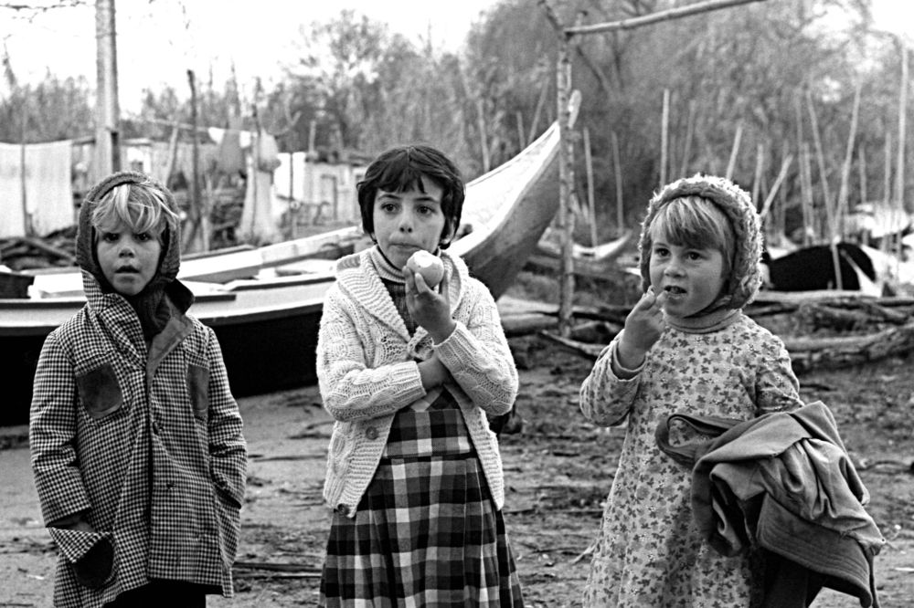 Photograph by jose bonito