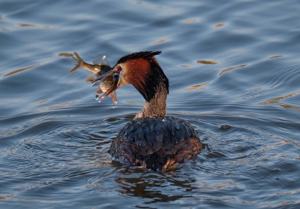 Photograph by Андрей Лабутин
