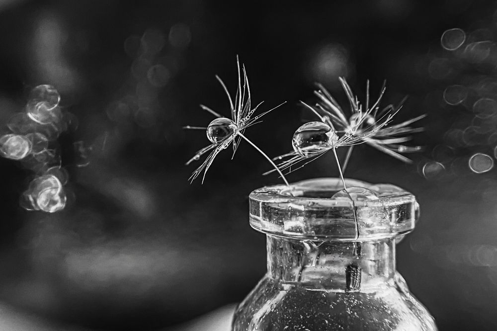 Photograph by Ксения Цапуста