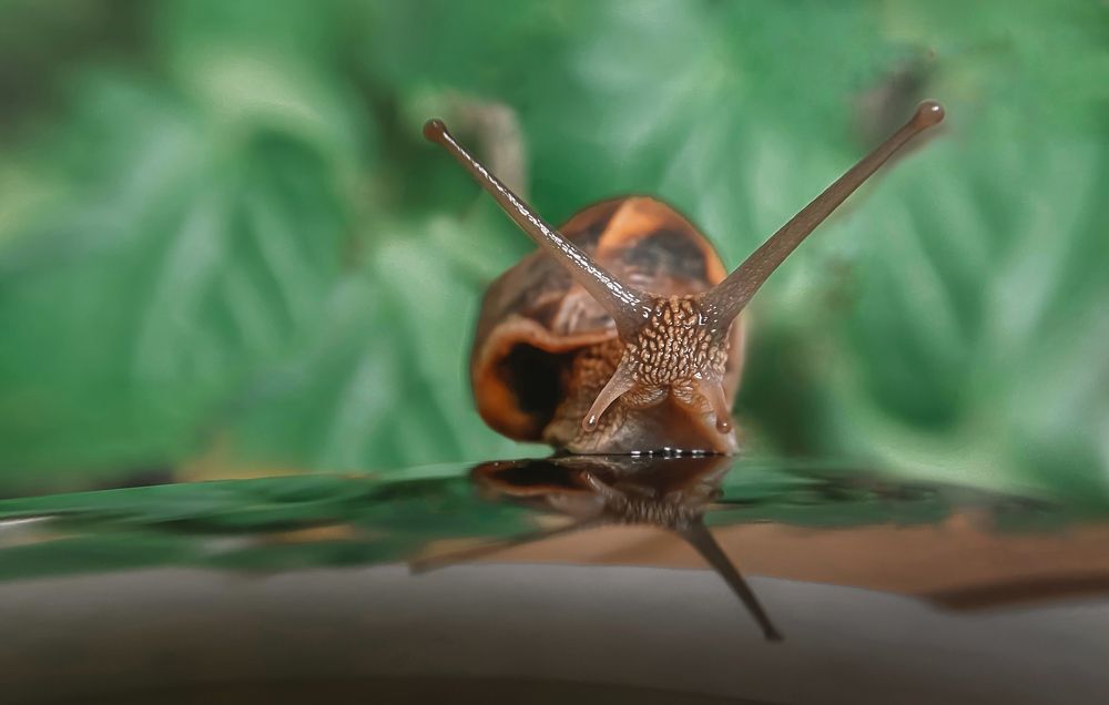 Маленькая подружка