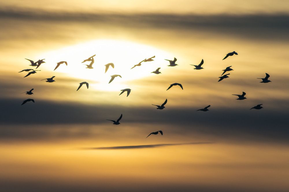 Photograph by Аркадий Старочкин