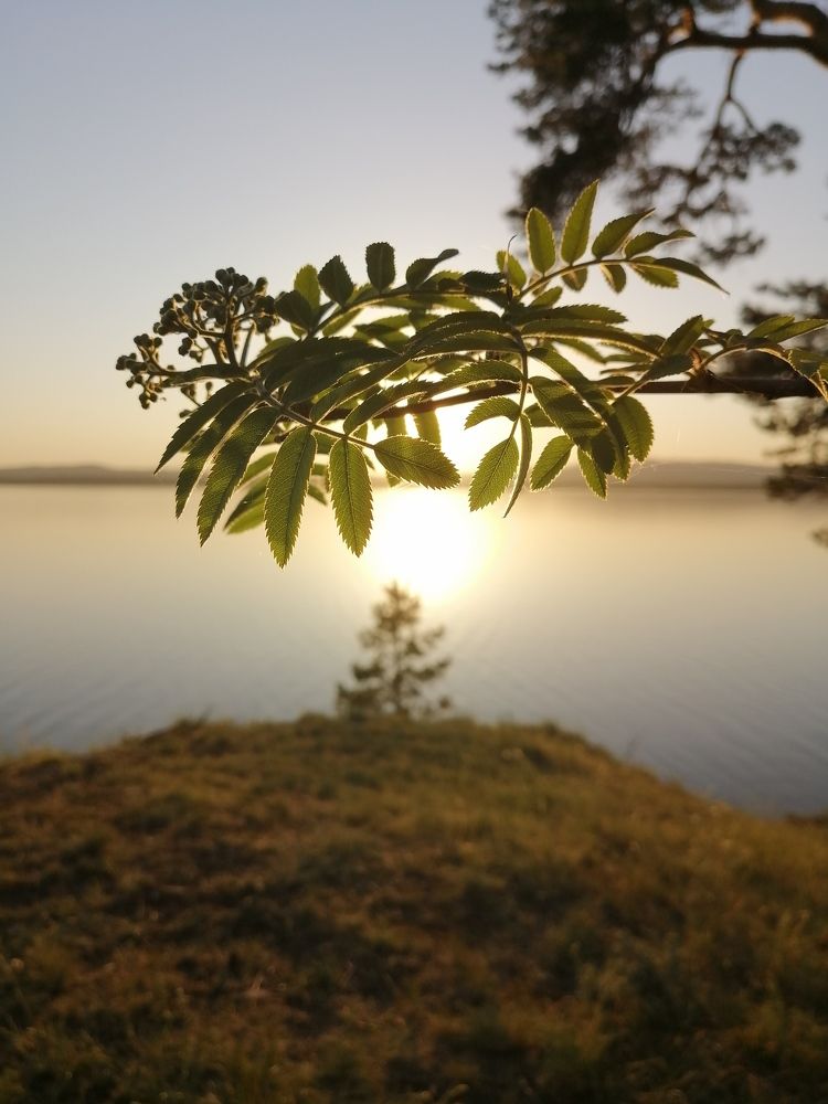 Photograph by Светлана Кудянова