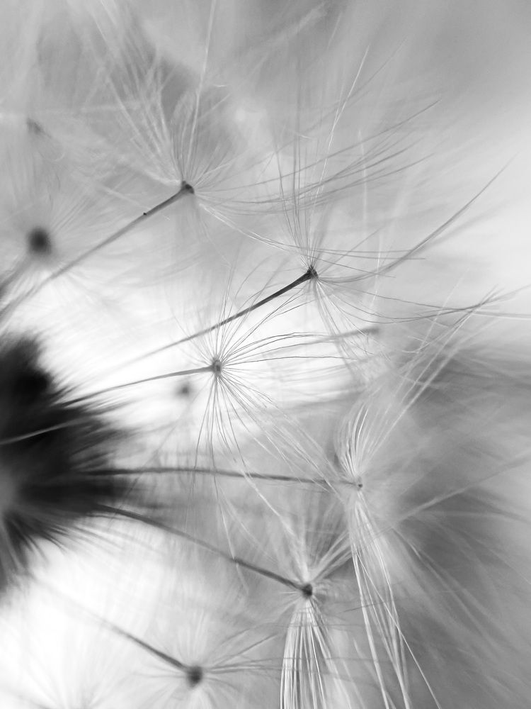 Photograph by Ксения Цапуста