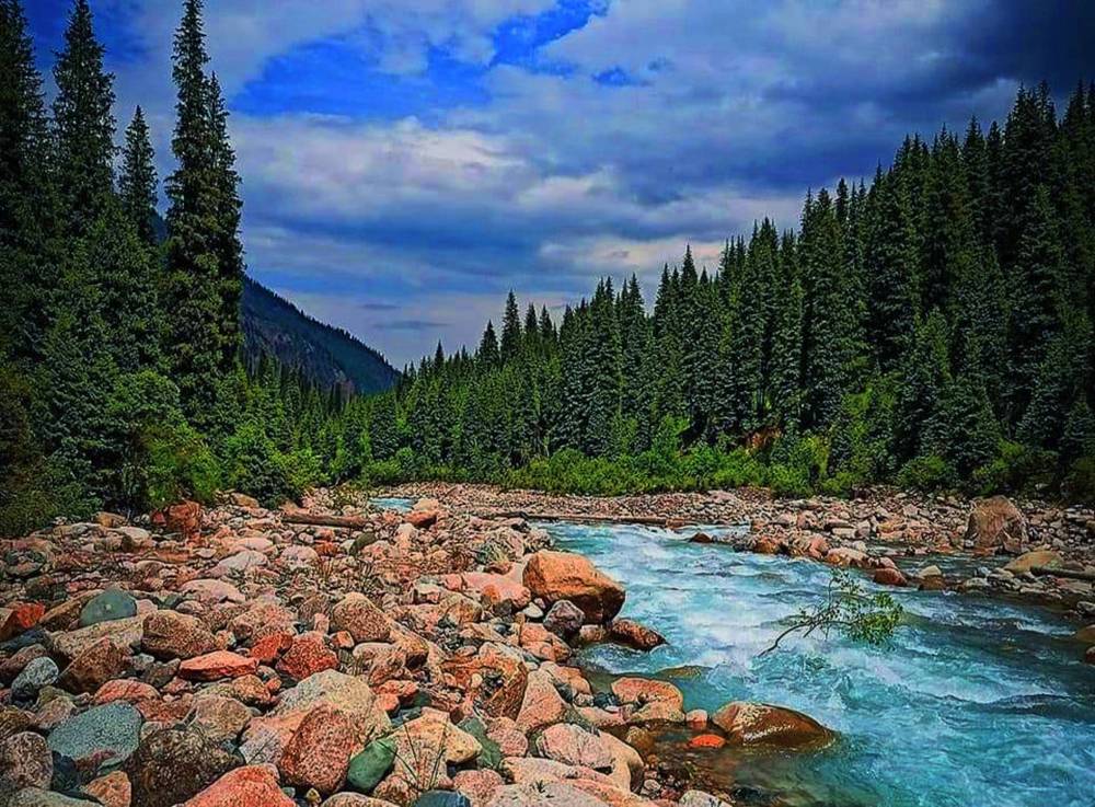 левый талгар река