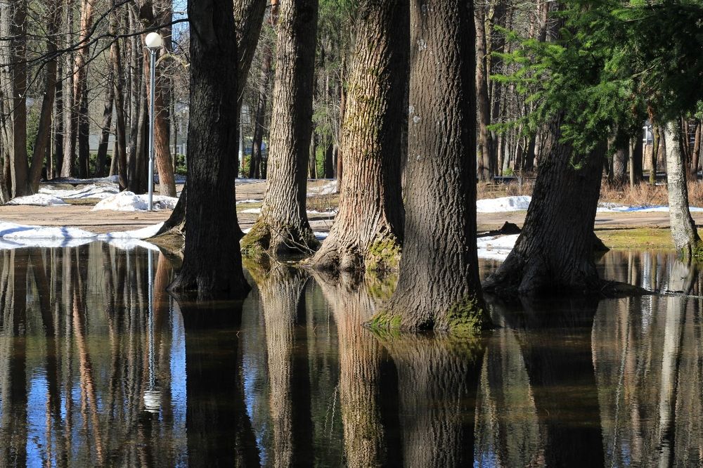 Photograph by Инна Карасева