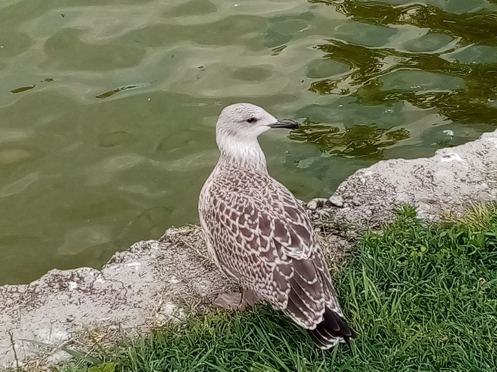 Photograph by Olga Vatkova