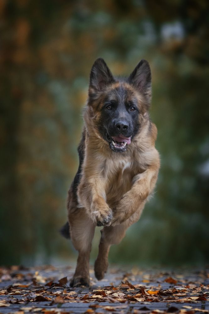 Photograph by Алена Райфутдинова