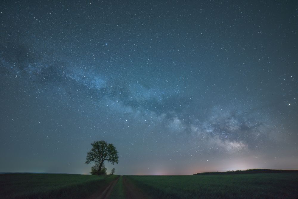 Фотография автора Lyuboslav Bochev