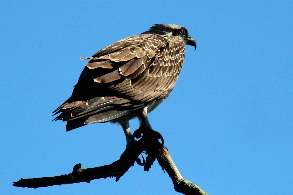 Photograph by Leo Tujak