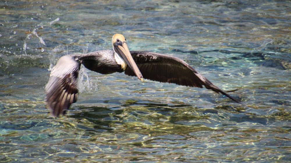 Photograph by Leo Tujak