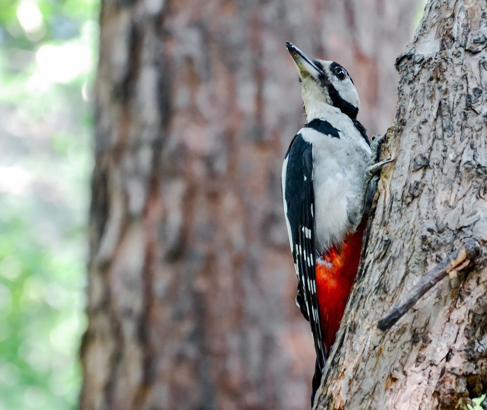 Photograph by Anna Solomina