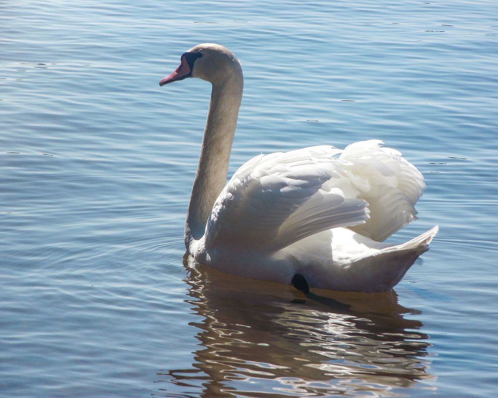 Photograph by Olga Smirnova