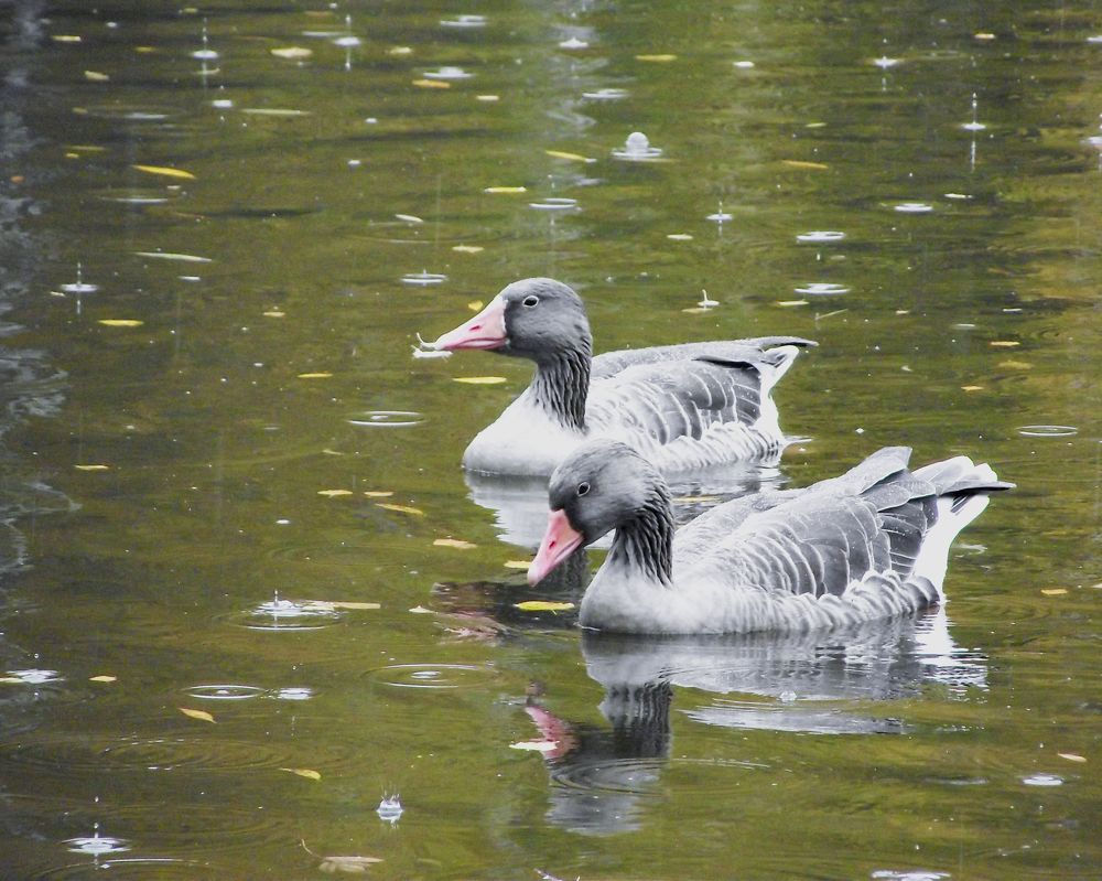 Photograph by Olga Smirnova