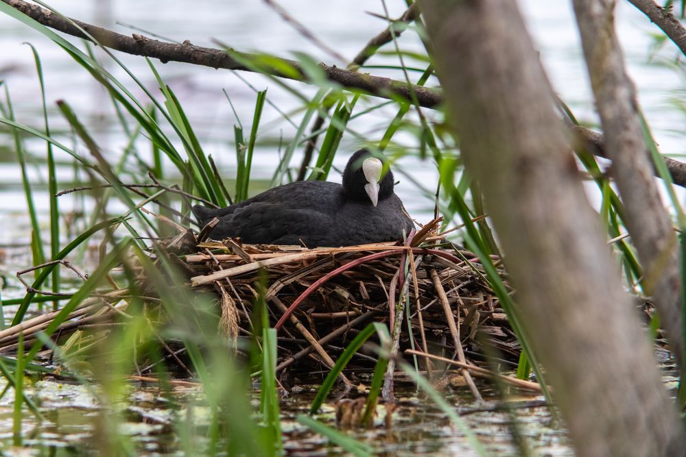 Photograph by Дмитрий Лебедев