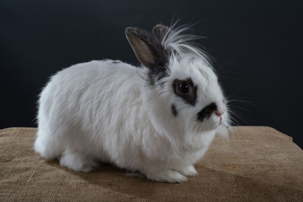 Photograph by Rimma Volchenko