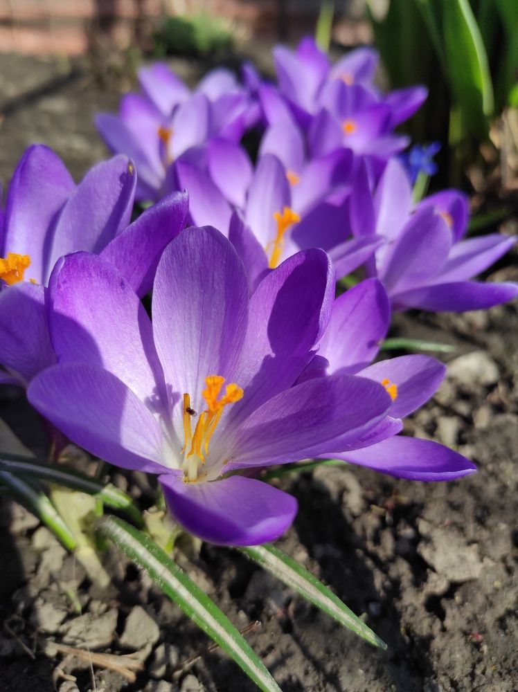 Photograph by Лысых Галина