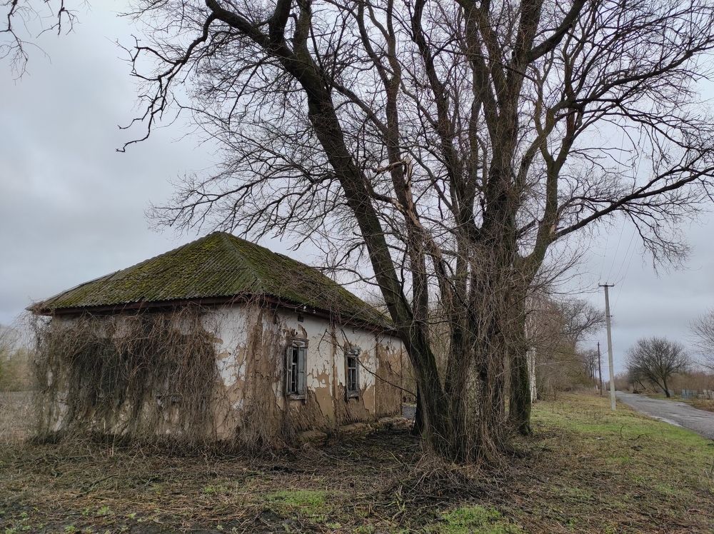 Photograph by Лысых Галина