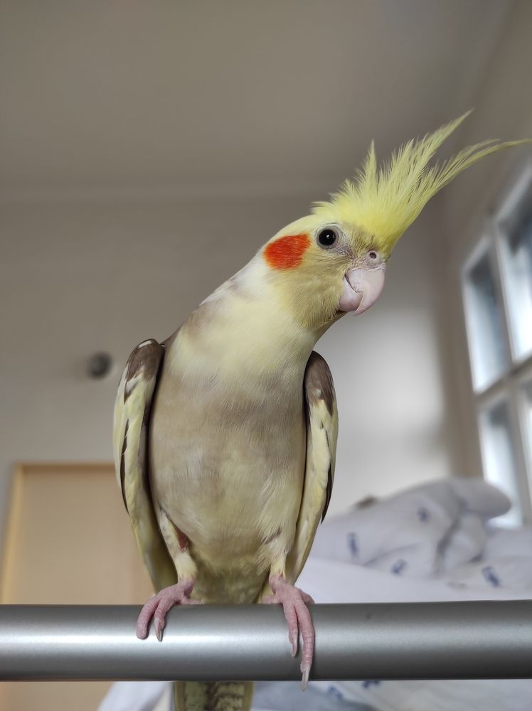 Photograph by Лысых Галина