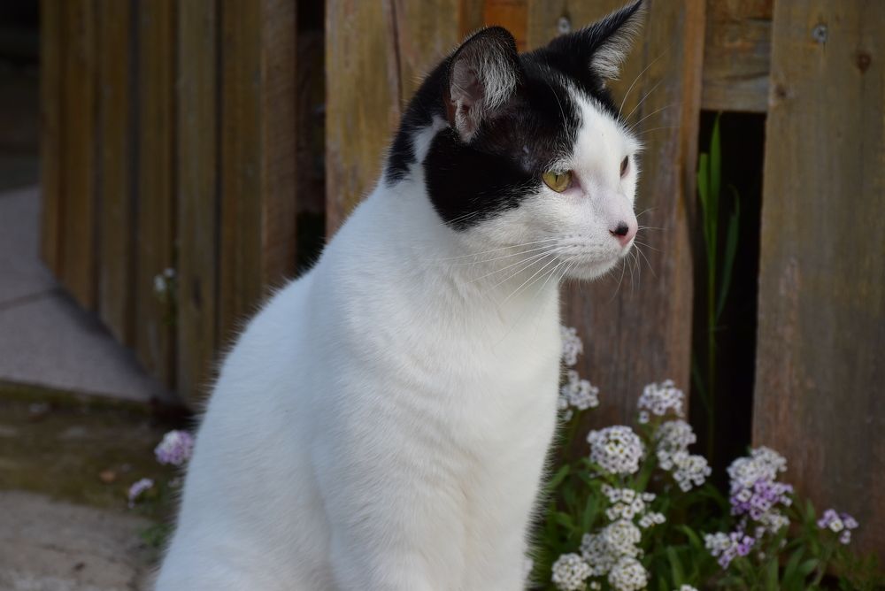 Фотография автора Carolina Mellado