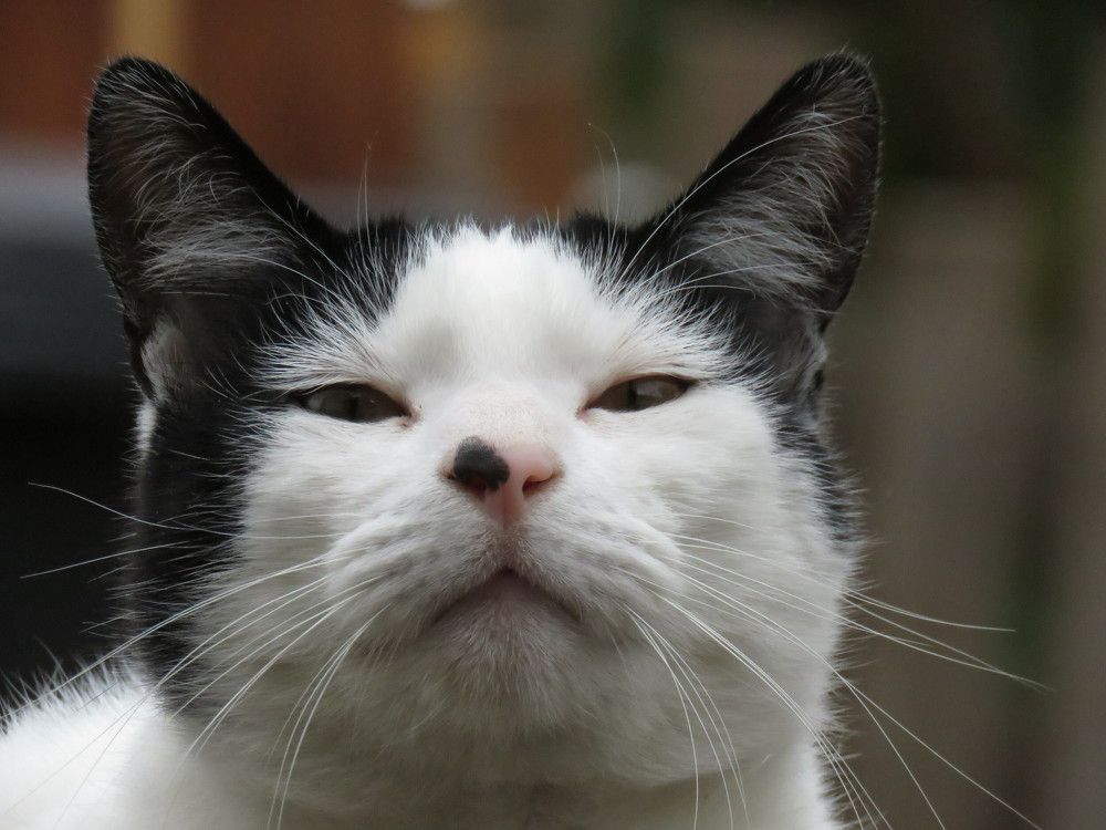 Фотография автора Carolina Mellado