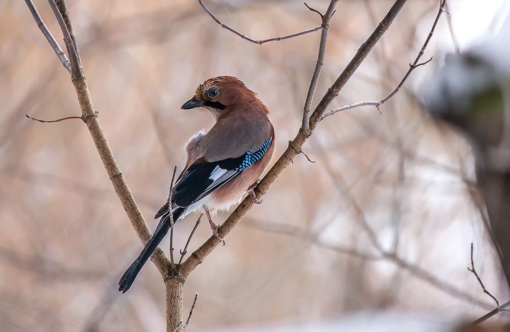 Кто там меня снимает?