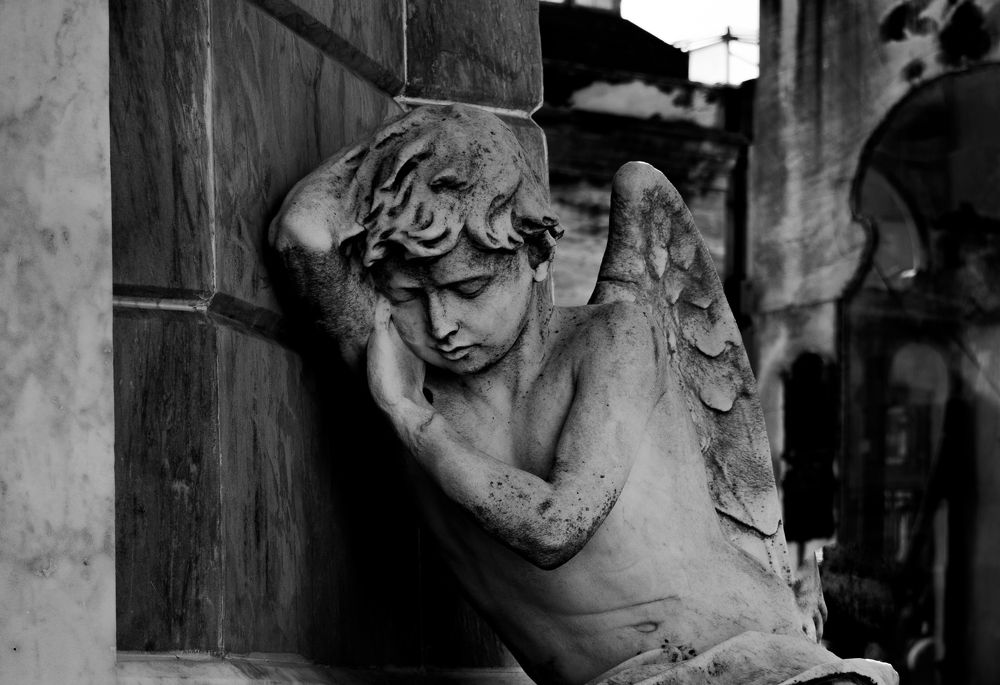 Фотография автора Liliana Cancino Abregu