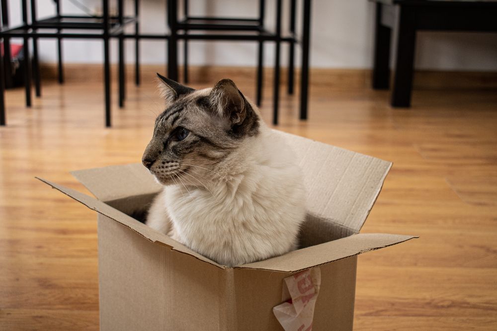 Фотография автора Liliana Cancino Abregu