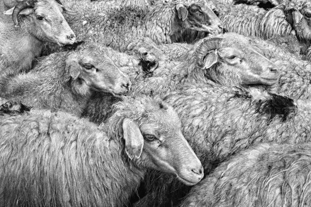 Photograph by Валерий