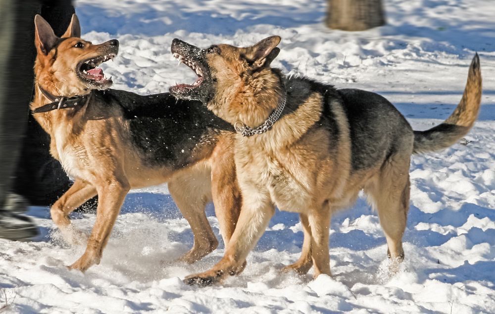 Photograph by Ирина Архипова