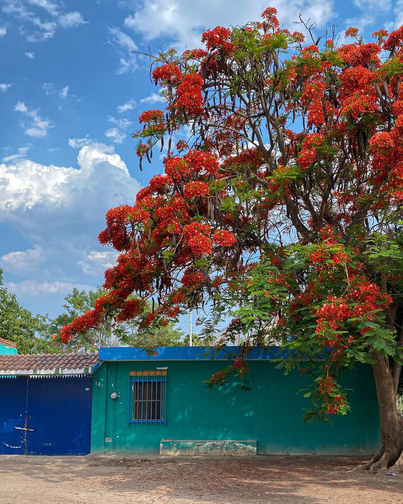 Photograph by Oxana Telupilova