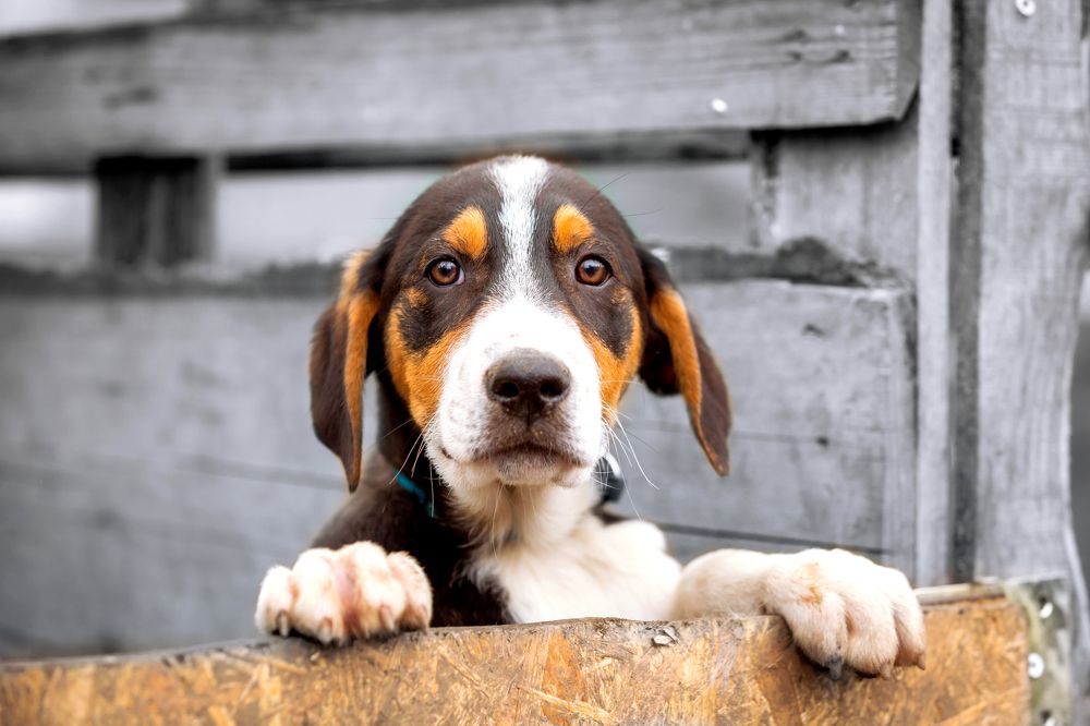 Photograph by Nataliya Nazarova