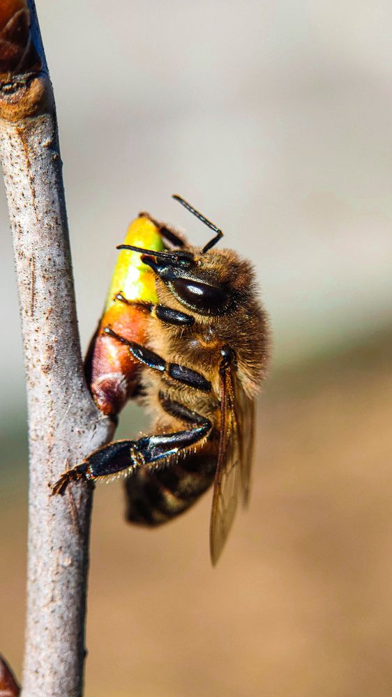 Photograph by Романова Мария