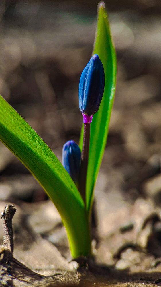 Photograph by Романова Мария
