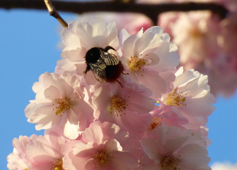 Photograph by Pjotr Alekseev