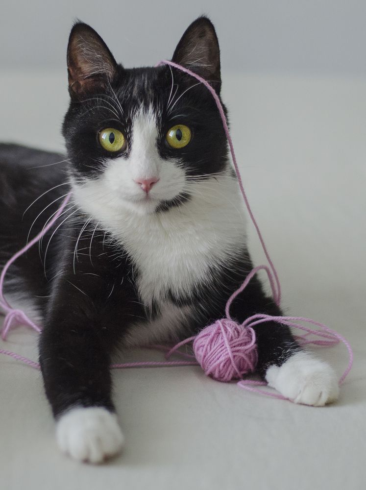 Photograph by Марина Горюнова