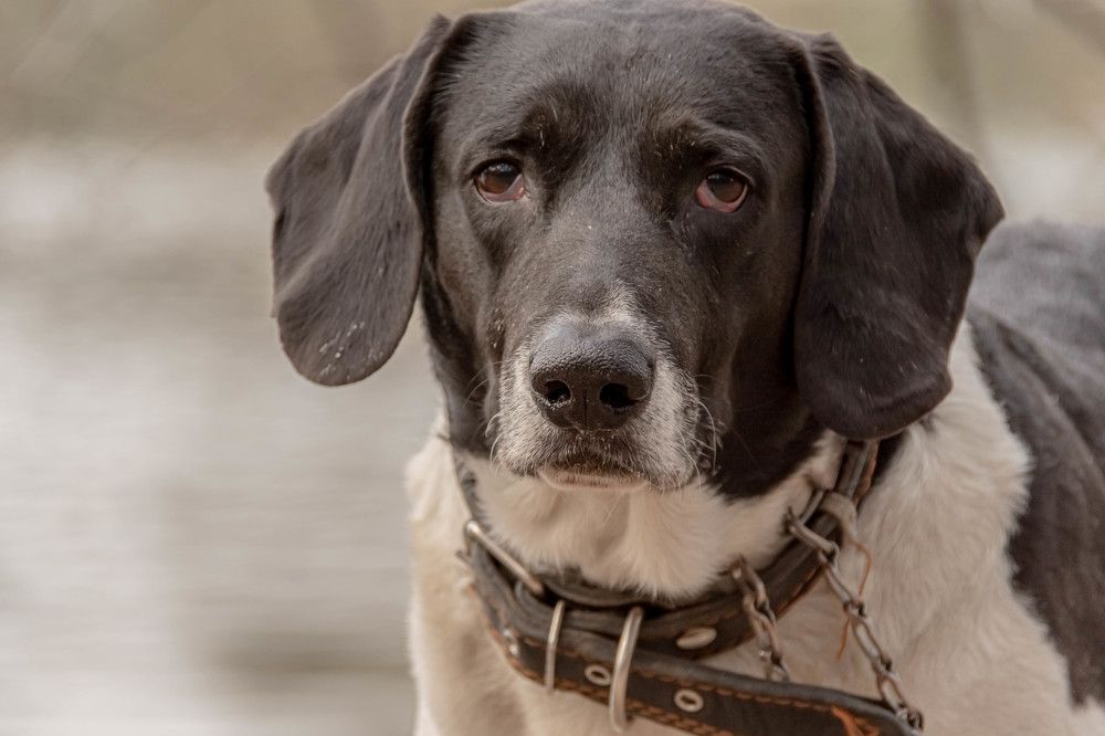 Photograph by Олег Кипкаев