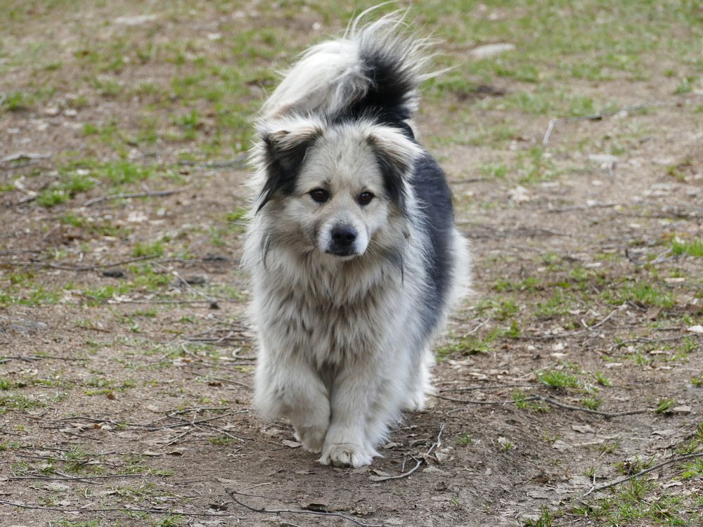 Photograph by Александр Кизим