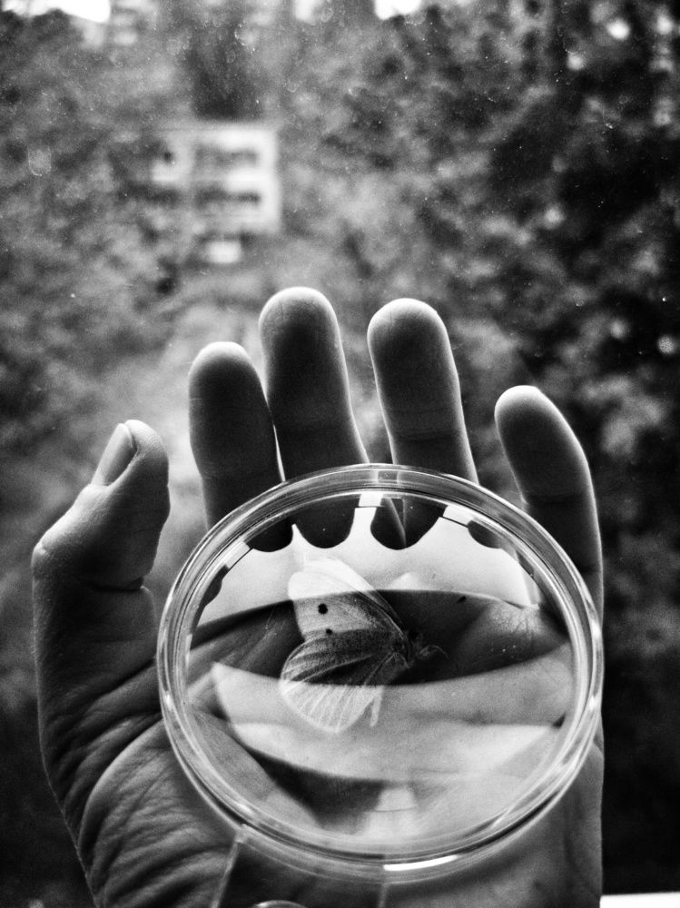 Photograph by Irina Tischer