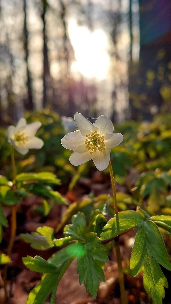 Photograph by Kristiina Soots